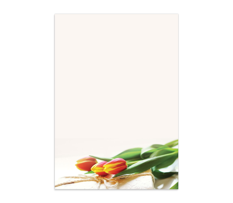 Tulpen