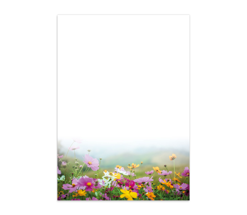 Blumenwiese
