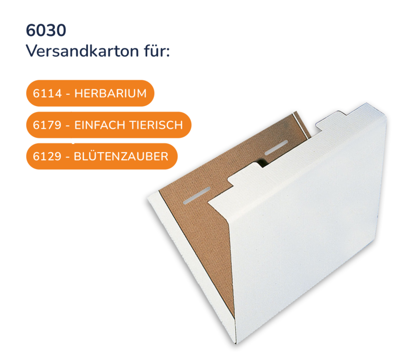 Versandkarton