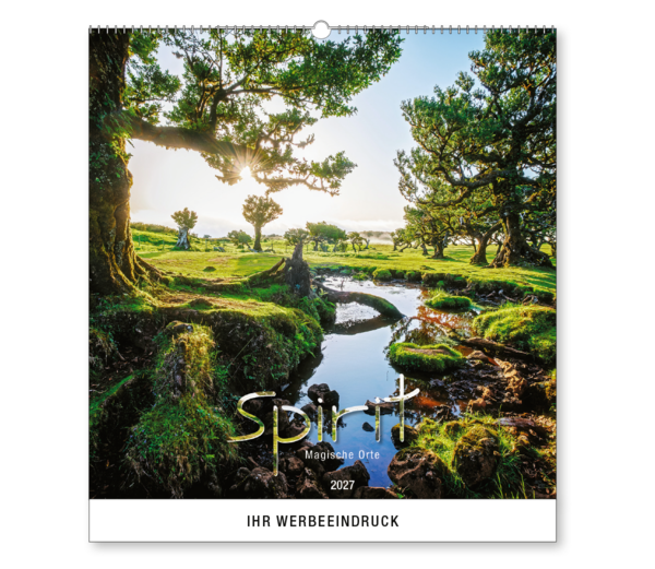 Spirit