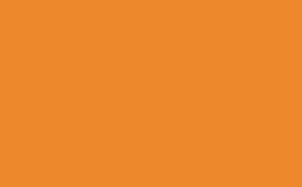 Einlegeblatt orange