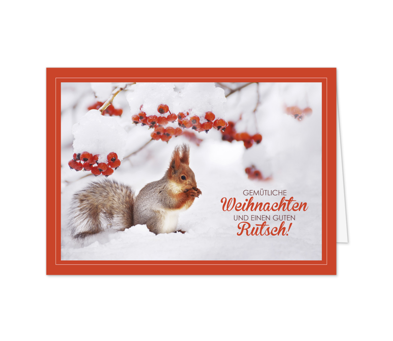 Eichhörnchen mit roten Beeren