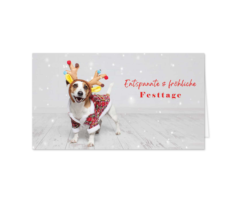 Funny Dog