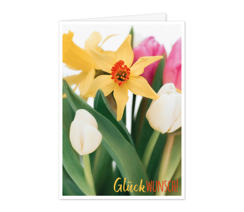 Tulpen und Narzissen