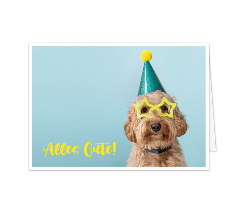 Alles Gute, wuff