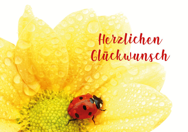 Grüße vom Glückskäfer