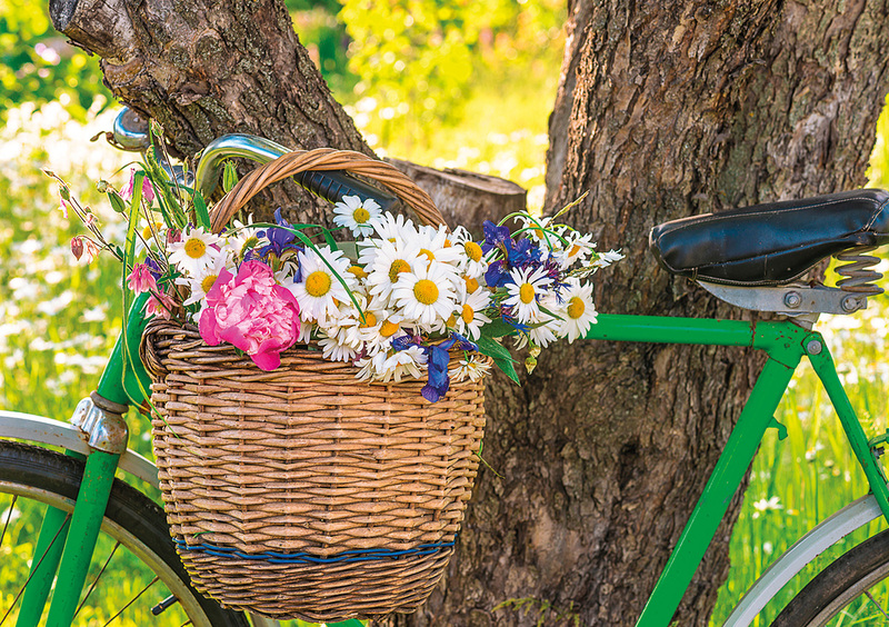 Fahrradkorb mit Margariten