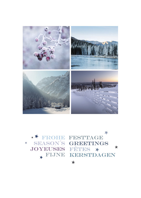 Weihnachtskarte: Winterimpressionen mit Beeren
