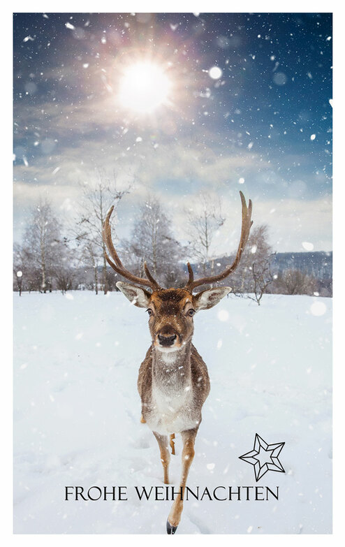 Weihnachtskarte: Rotwild im Schnee