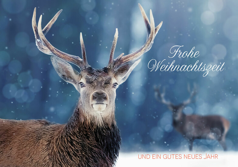 Weihnachtskarte: Hirsche im Winterwald