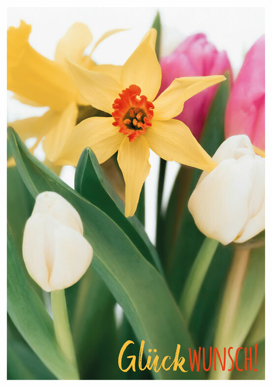Grußkarte: Tulpen und Narzissen