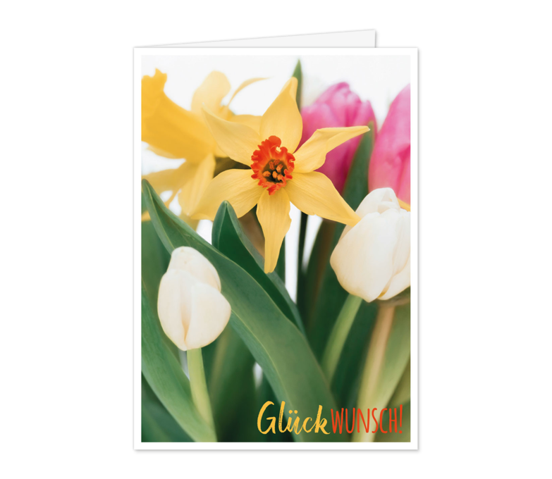 Karte: Tulpen und Narzissen