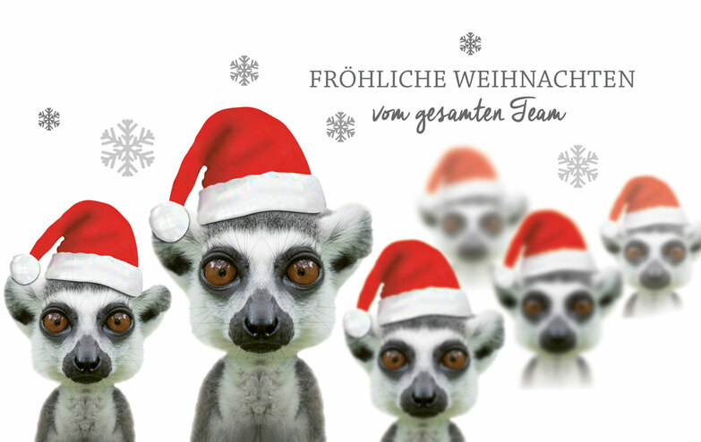 Humor - Weihnachtskarten Online Kollektion 2019 | Kallos Verlag