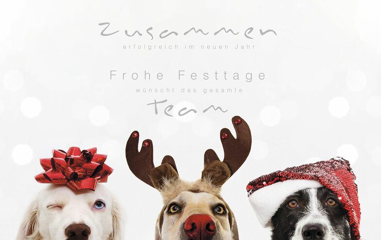 Weihnachtskarte: Dog Team