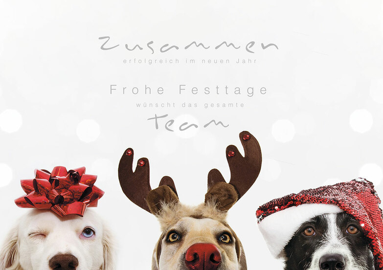 Weihnachtskarte: Dog Team