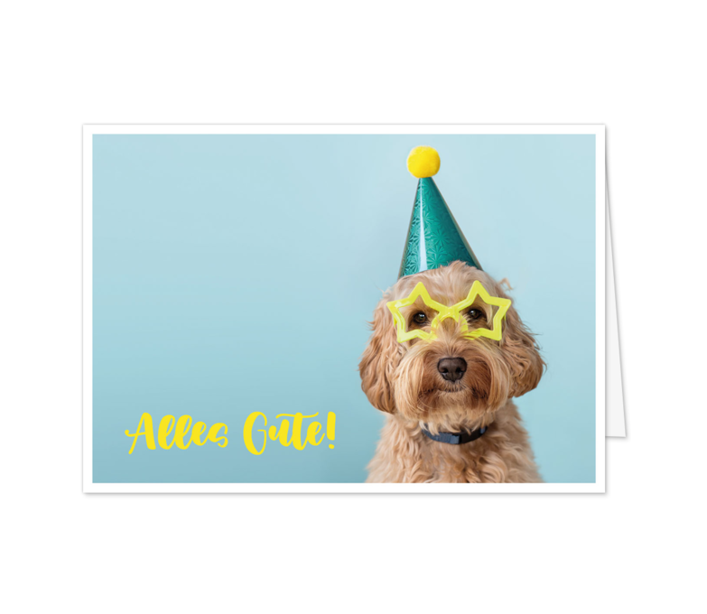 Karte: Alles Gute, wuff