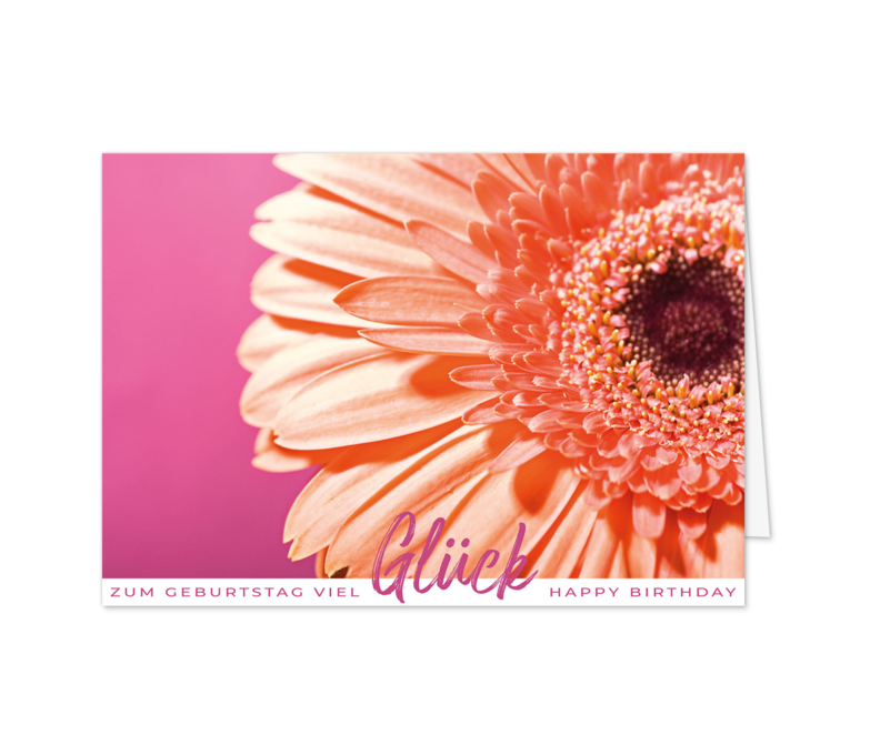 Karte: Gerbera im Detail