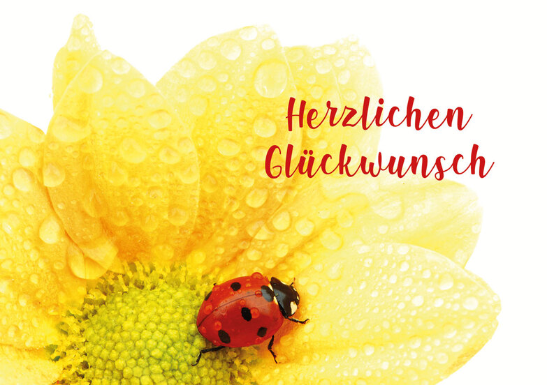 Grußkarte: Grüße vom Glückskäfer
