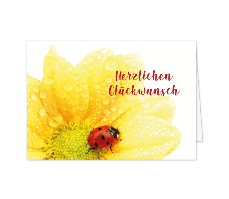 Karte: Grüße vom Glückskäfer