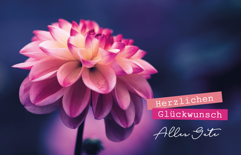 Grußkarte: Dahlie auf Blau