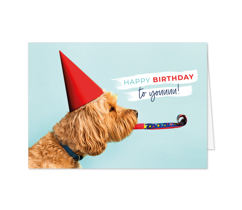 Karte: Partyhund