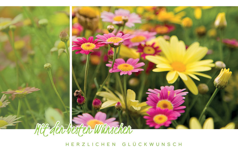Glückwünsche Geburtstagskarten Kollektion 2019 Kallos Verlag