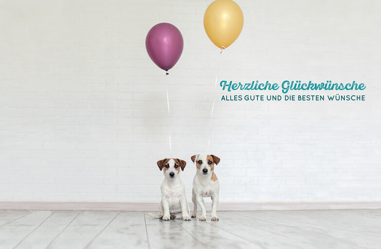 Grußkarte: Hunde mit Ballon