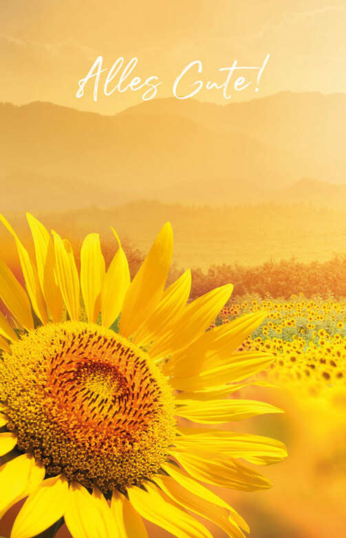 Grußkarte: Sonnenblume mit Gruß