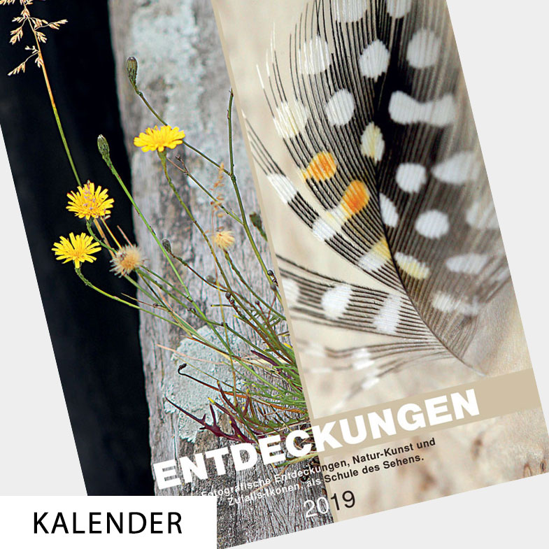 Weihnachtskarten Shop: Riesen Auswahl  kallos.de